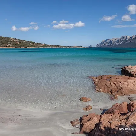 Aria Di Vacanza - Maltineddu Cod 23 Nyaraló Olbia